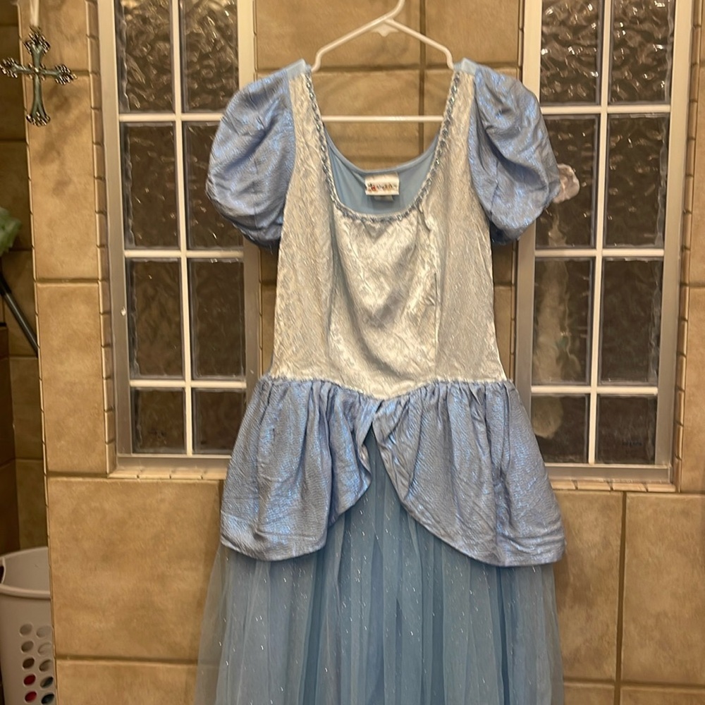 Disney Cinderella Costume Dress